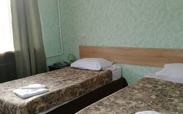 Luzhskij Sotsialno-Delovoj Tsentr Gostinitsa "Luga"