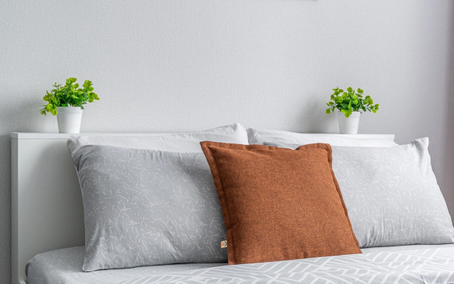 Studiya S Vidom Na Gory Lyzhnikov 3 Flat