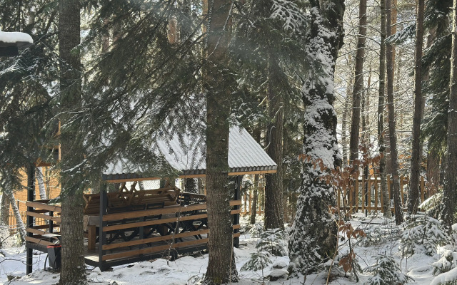 База отдыха Дух Леса