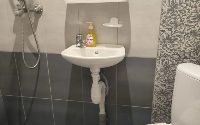 Меблированные комнаты Роза в Акварели