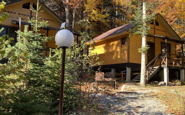 Polyana Zubrov Recreation Camp