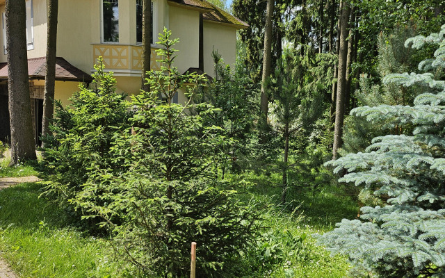 Частный Дом в Лесу