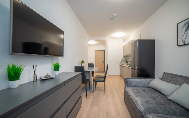 Апартаменты Гагарина 9 Серая