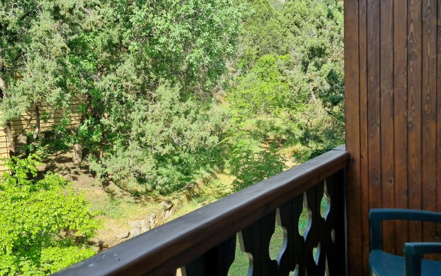 Shalyapin House Guest House