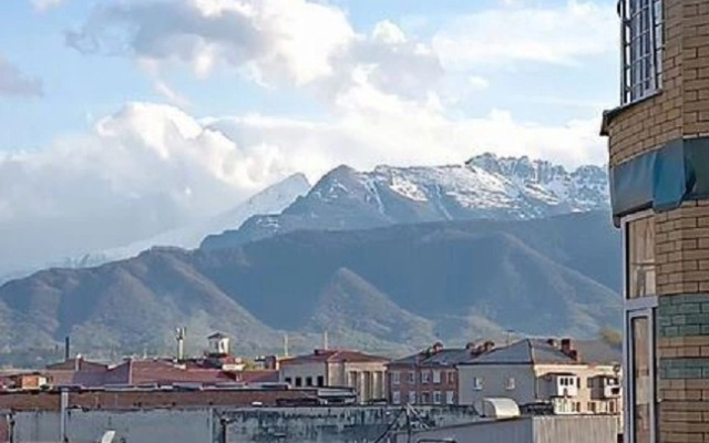 Квартира на Улице Генерала Плиева 10