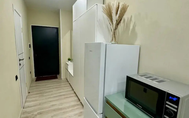 Kvartira-studiya 30 m2 Flat