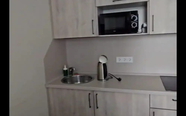 Samotsvet Studiya Ryadom S Aeroportom Flat