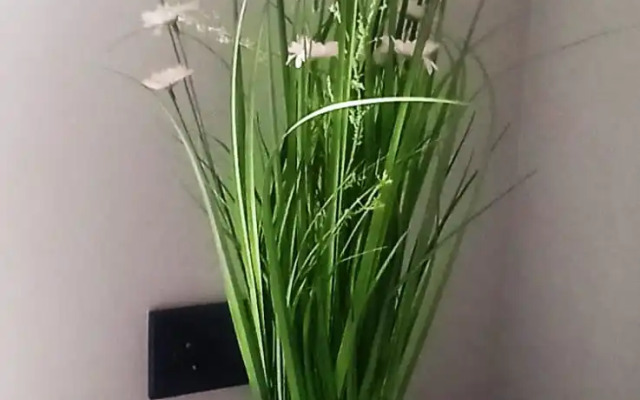 U Morya Flat
