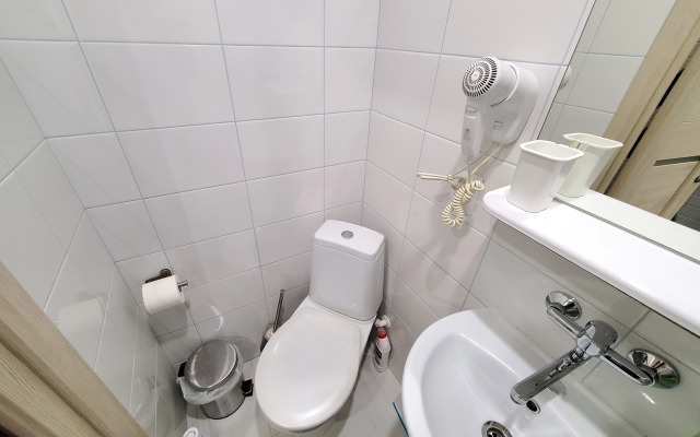 Апартаменты Светлая студия в Петроградской части города