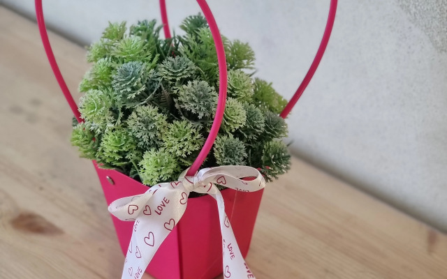 Апартаменты Стильные с Видом на Море