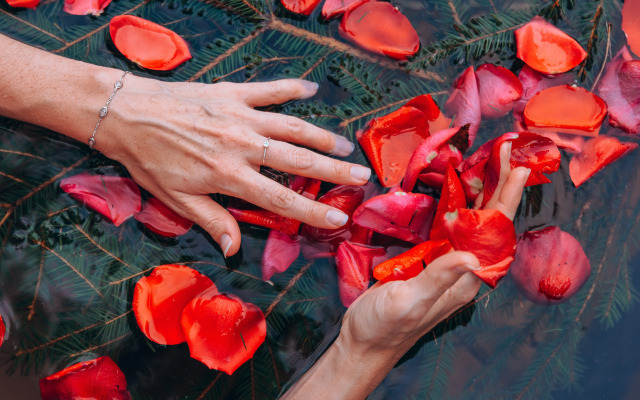 Кемпинг ForrestHome