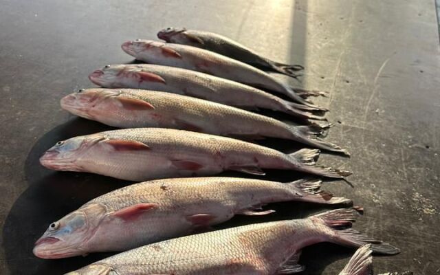 Отель Клевое место