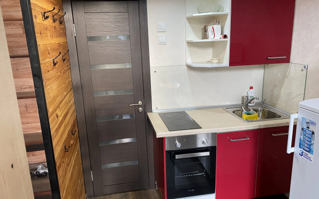 Апартаменты двухуровневая квартира-студия в центре города