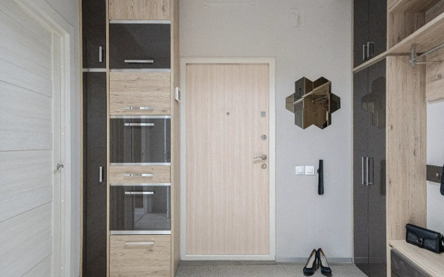 Stylish Grey Spb Apartments