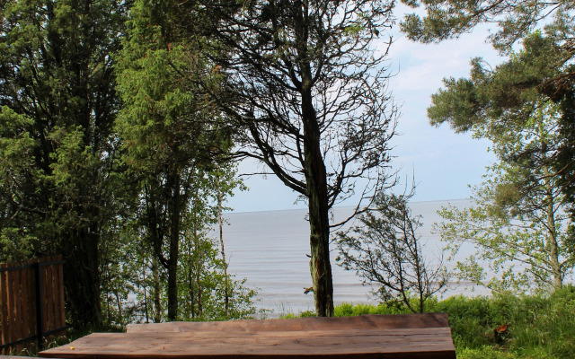 Частный дом Алатирва 2