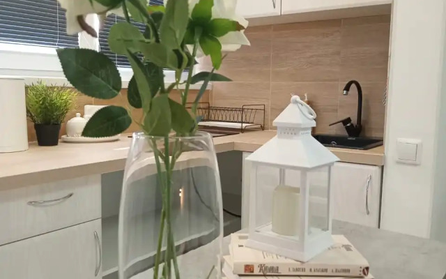 Апартаменты Яркая Студия