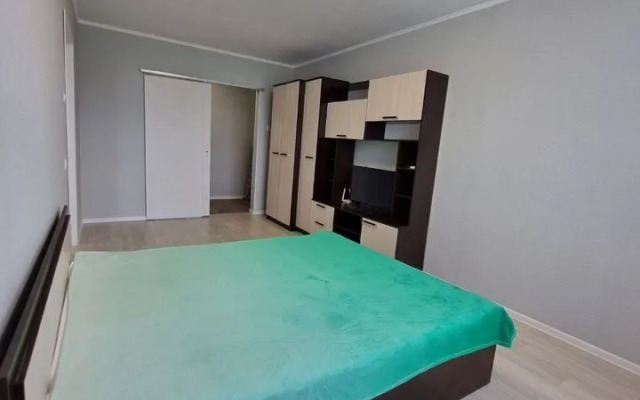 Na Radischeva  Flat
