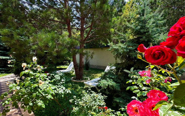 Частный дом со всеми условиями на берегу моря