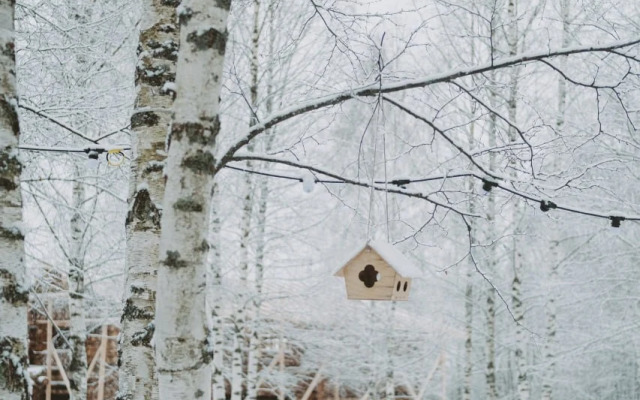 Частный Дом Лакшми