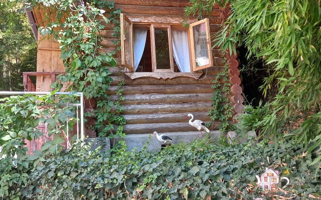 Zelyonaya Gora Guest house
