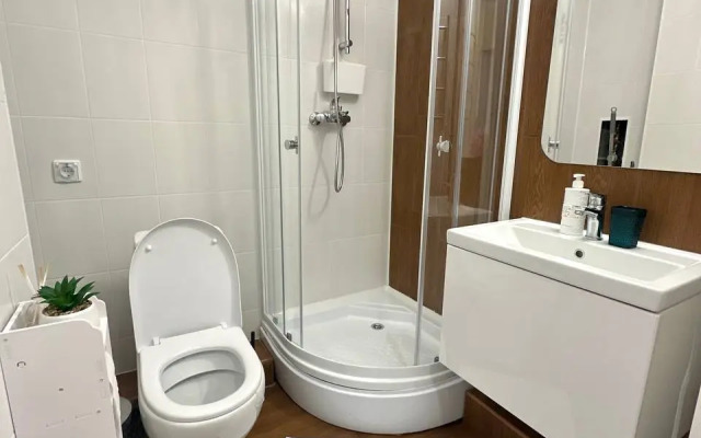 Uyutnaya Studiya Murinskaya Doroga Apartments