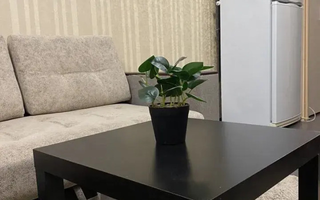 Na Lenina 132 Flat