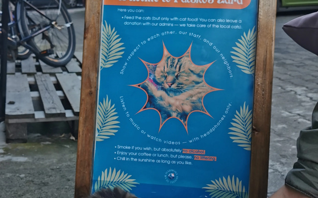 Хостел Harmony