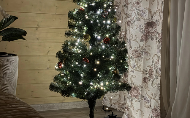 Частный дом Лесной Остров