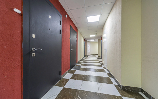 Квартира Студия с Диваном на Кондратьевском Проспекте