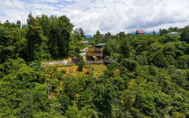 TreeHouse GoldenSeaView TreeHouse Private house