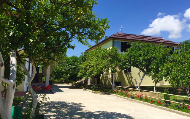 Divny Sad Guest House