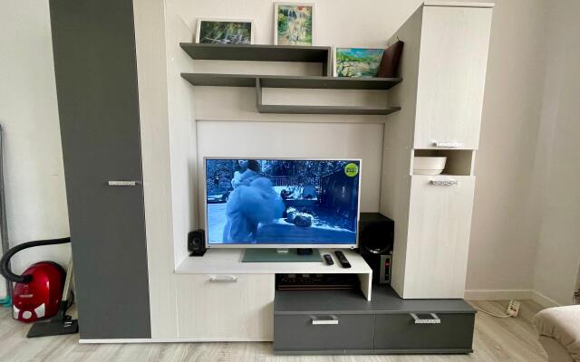 Апартаменты Лес и Шишки