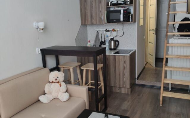 Апартаменты Уютная Двухуровневая Студия в Центре Города