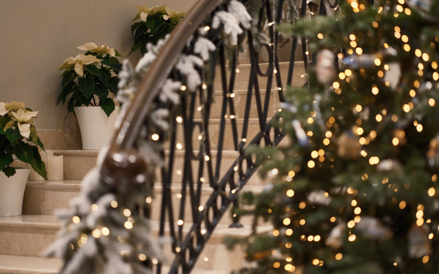 Отель Indigo St. Petersburg-Tchaikovskogo