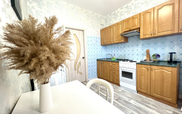 Vidovaya Prostory Severa Flat