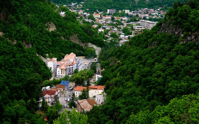 Апартаменты Day in Borjomi