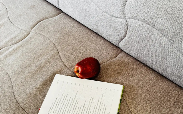 Studiya Aport Flat