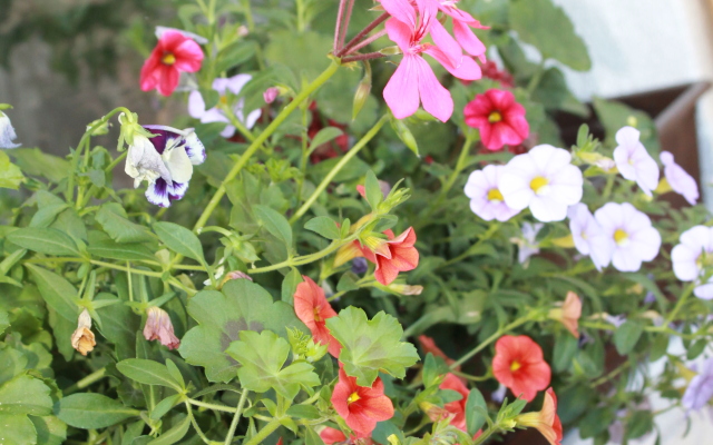 Апартаменты Kenig Apartments