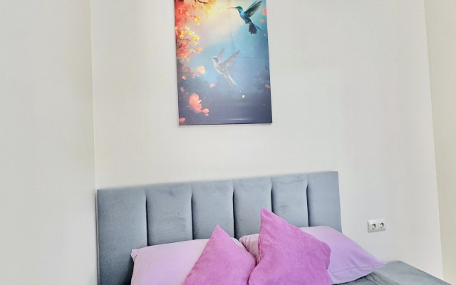 Zhk Sapfir Apartament 5