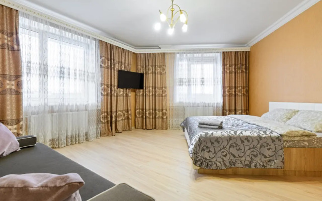 Апартаменты Домотелли 1 на Коломяжском