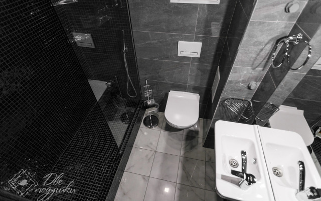 Квартира Две Подушки на Ленинградской 62