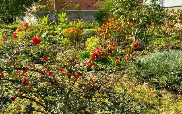 Апартаменты Homestay Vera