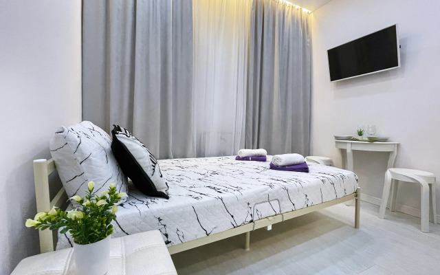 Апартаменты Студия м.Маяковская