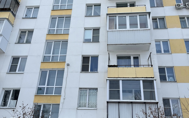 V Tsentre Goroda Flat