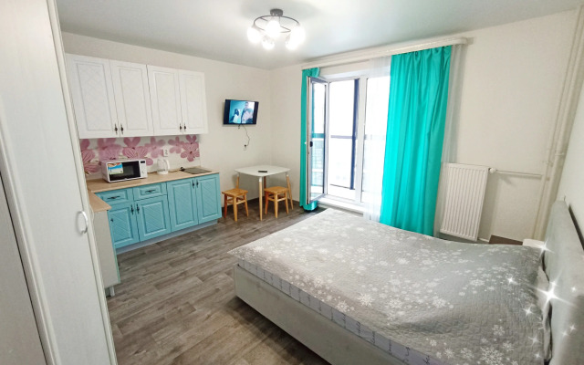 Апартаменты на улице Телевизионная 16а