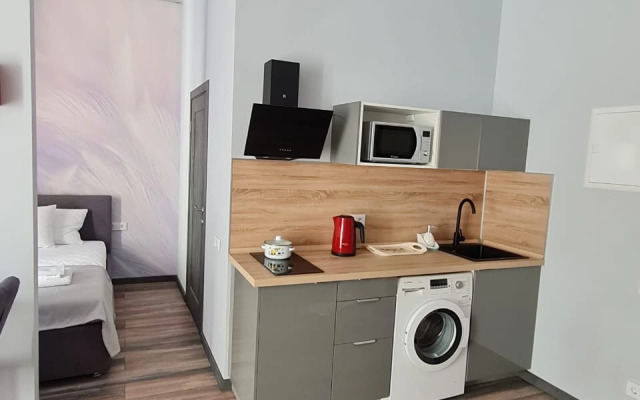 Квартира Люкс в центре Санкт-Петербурга Чудо в перьях