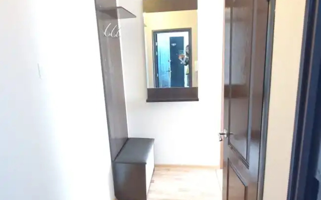 Zhdem Gostey Lenina 49 Apartments