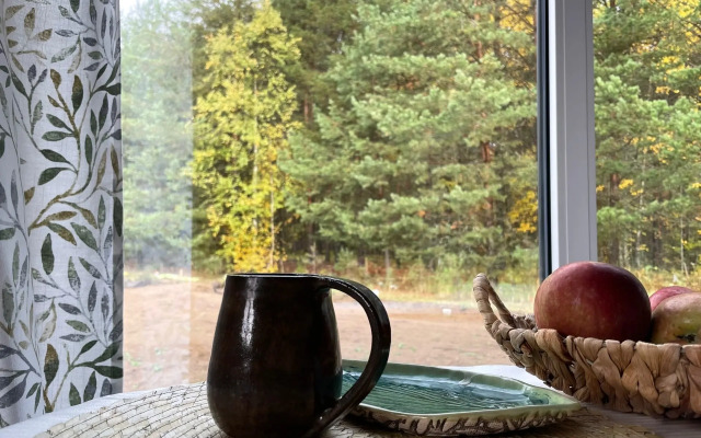 Гостевой дом Домик Скандик