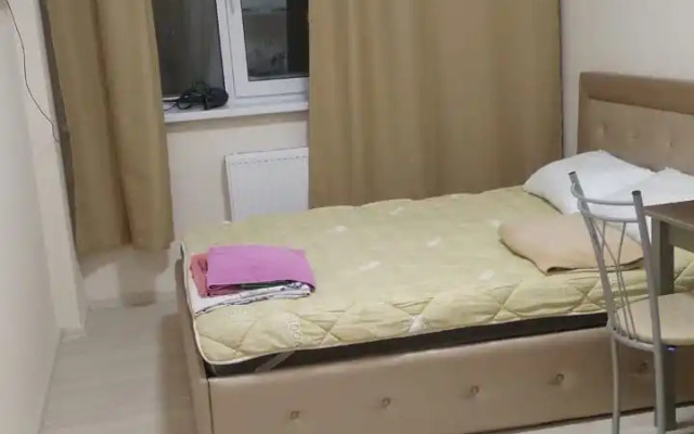 Апартаменты Roza house1