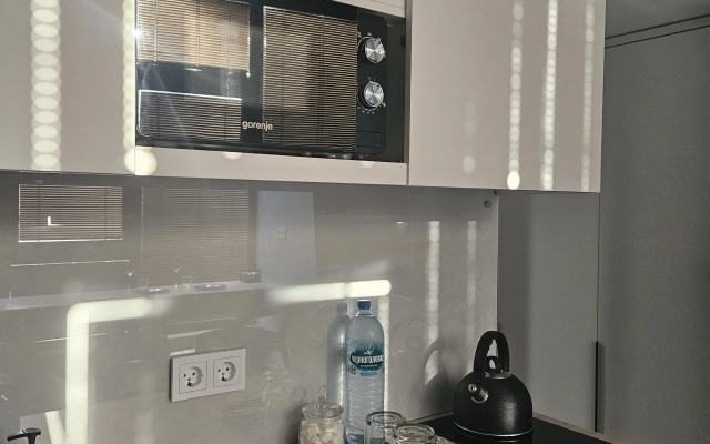 Апартаменты Метрополь Люкс Лофт